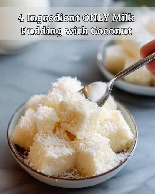 4 Ingredient ONLY Milk Pudding with Coconut