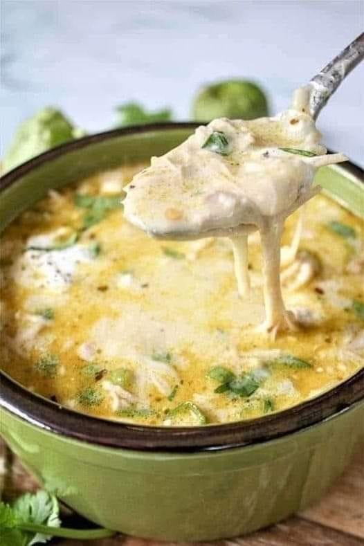 Search Results for: Green Enchiladas Chicken Soup