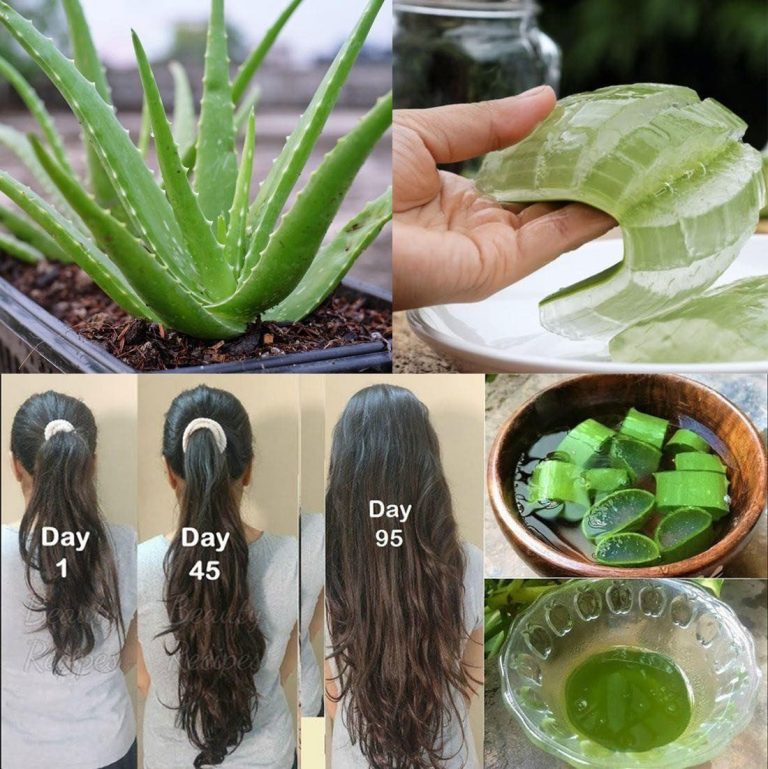 DIY Aloe Vera Hair Oil: Boost Hair Growth and Prevent Hair Fall Naturally