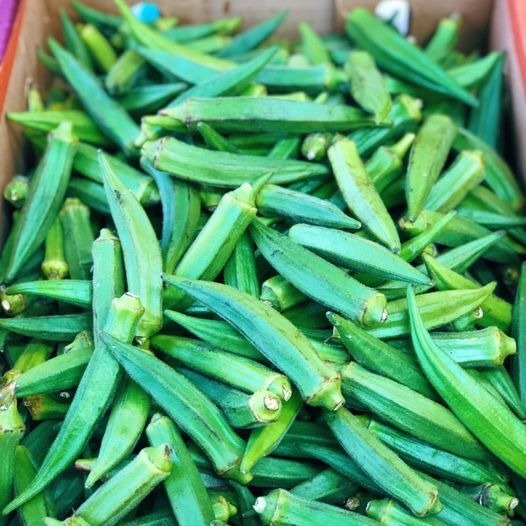 Okra, also known as “lady’s finger” or “gumbo,” is a versatile vegetable that is enjoyed worldwide.  We are removing inactive members from here. If you want to keep getting our recipes say something.