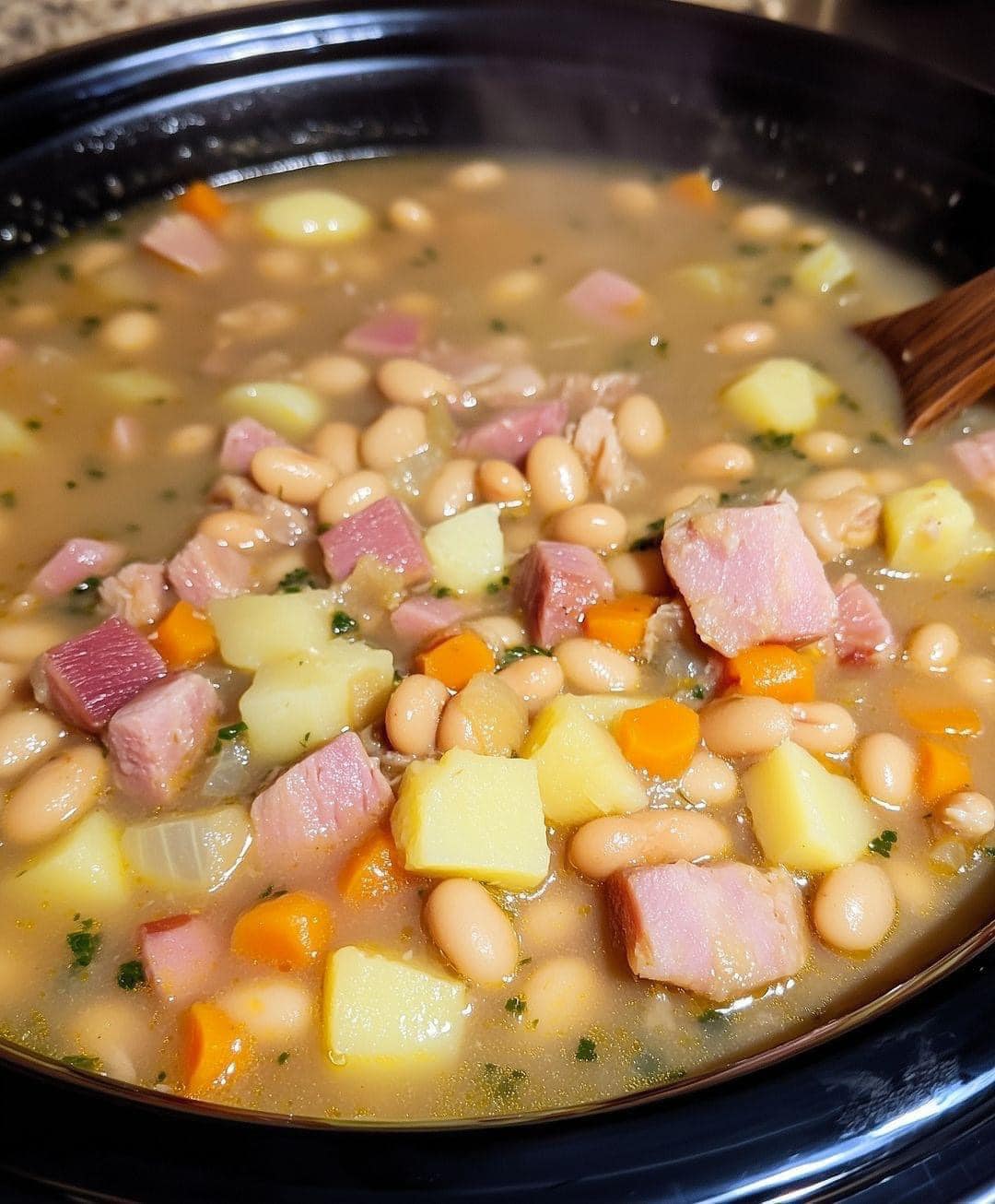 CROCKPOT NAVY BEAN AND HAM SOUP