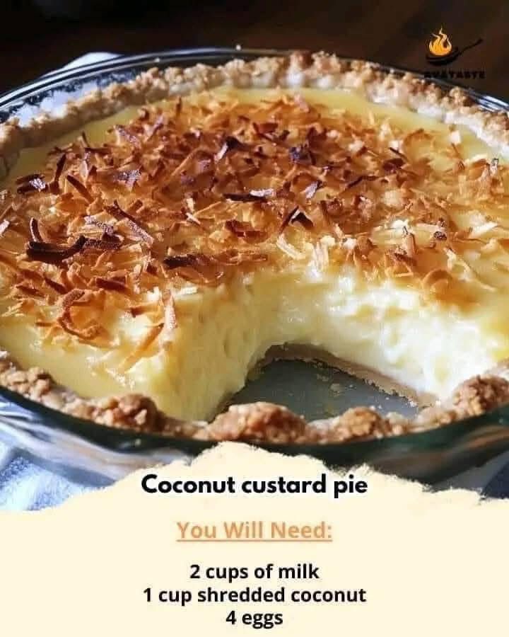 Coconut Custard Pie 