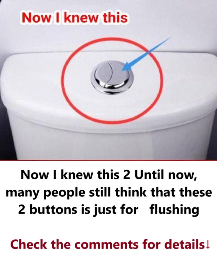 Many people still think that these 2 buttons is just for flushing