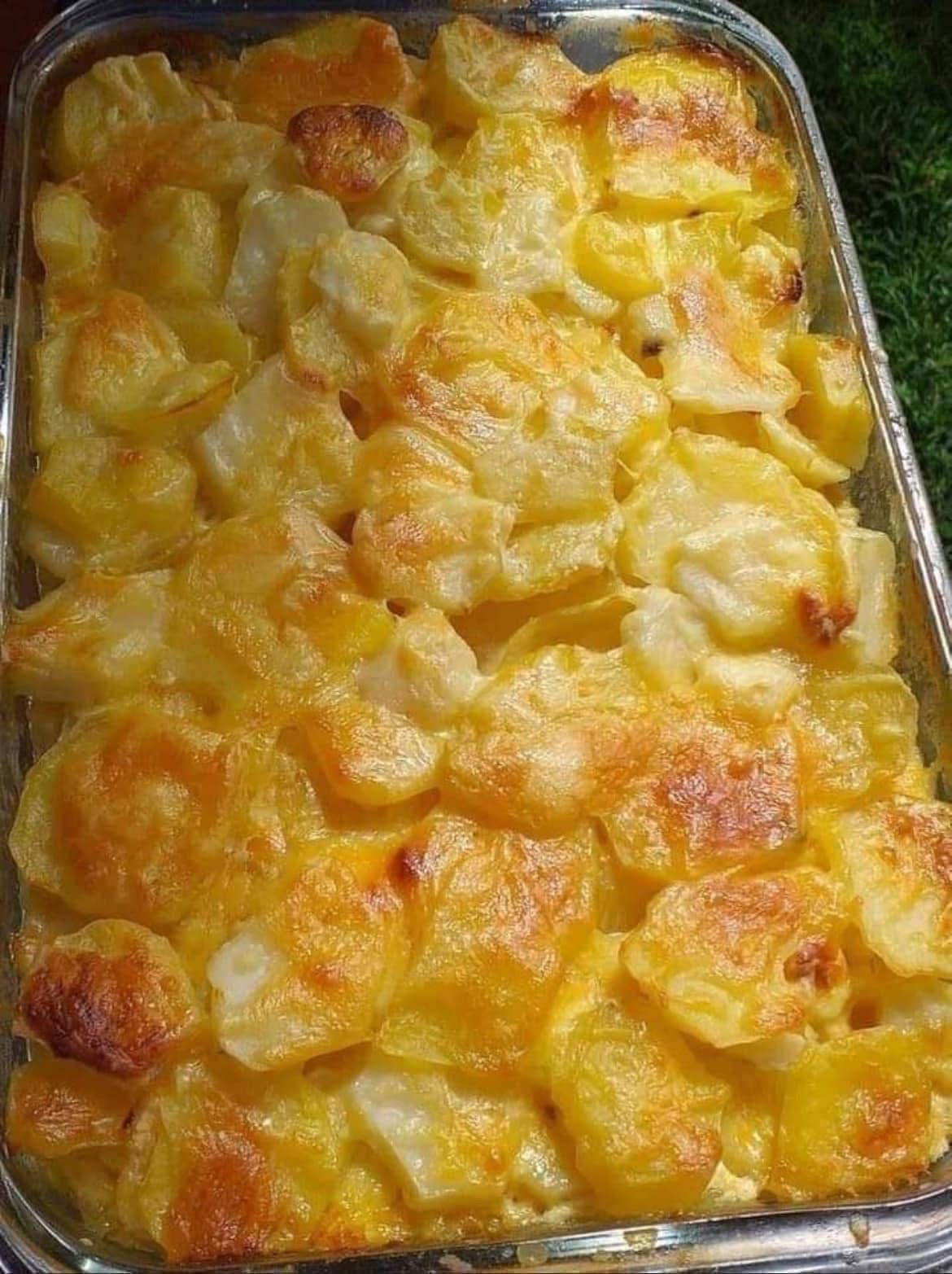 Best Scalloped Potatoes 