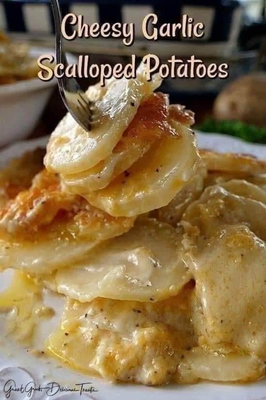 SCALLOPED POTATOES