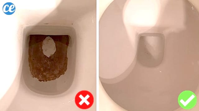 Black Marks at the Bottom of the Toilet: The Natural Trick to Eliminate Them WITHOUT Effort.