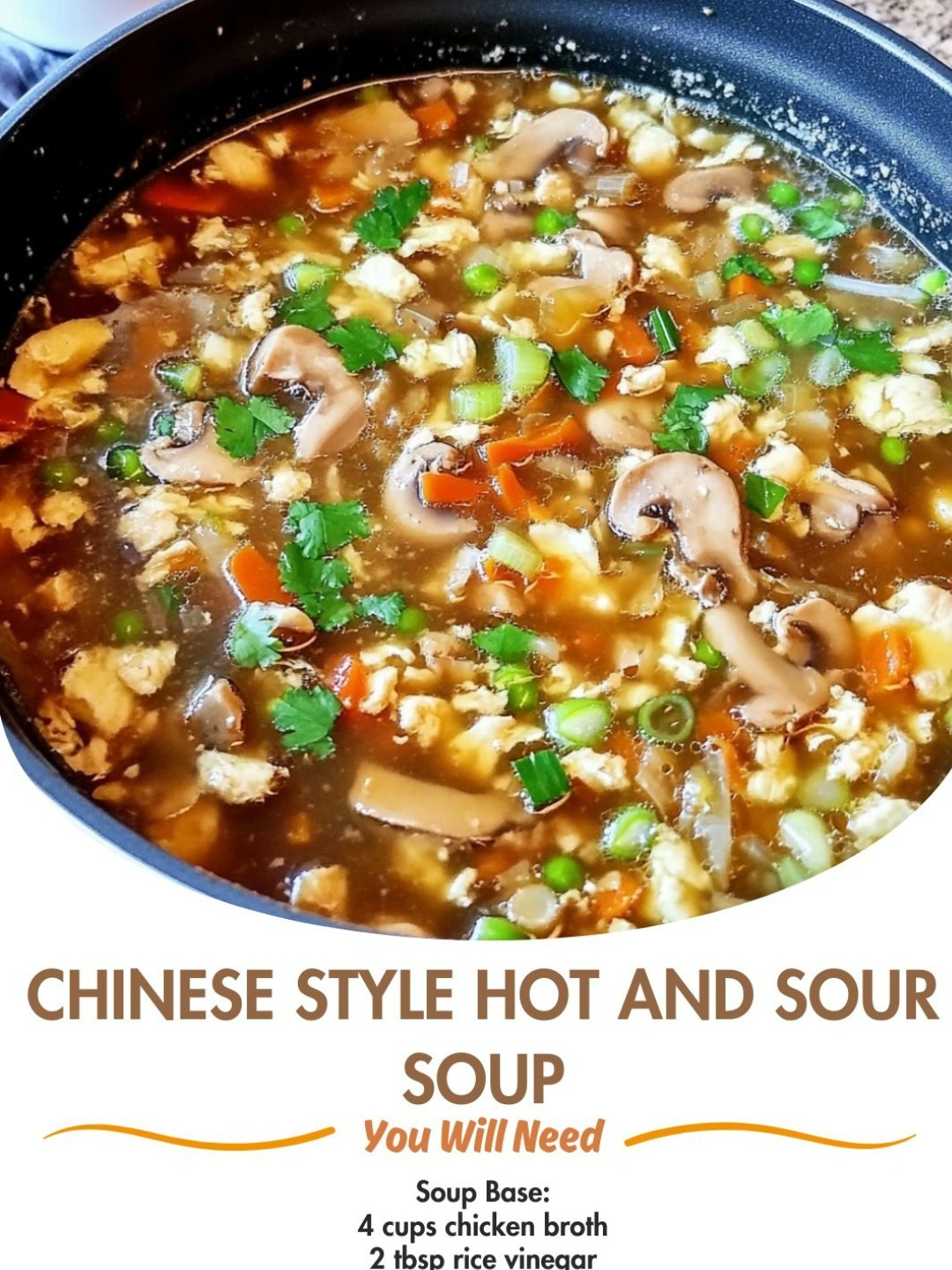 Chinese Style Hot and Sour Soup