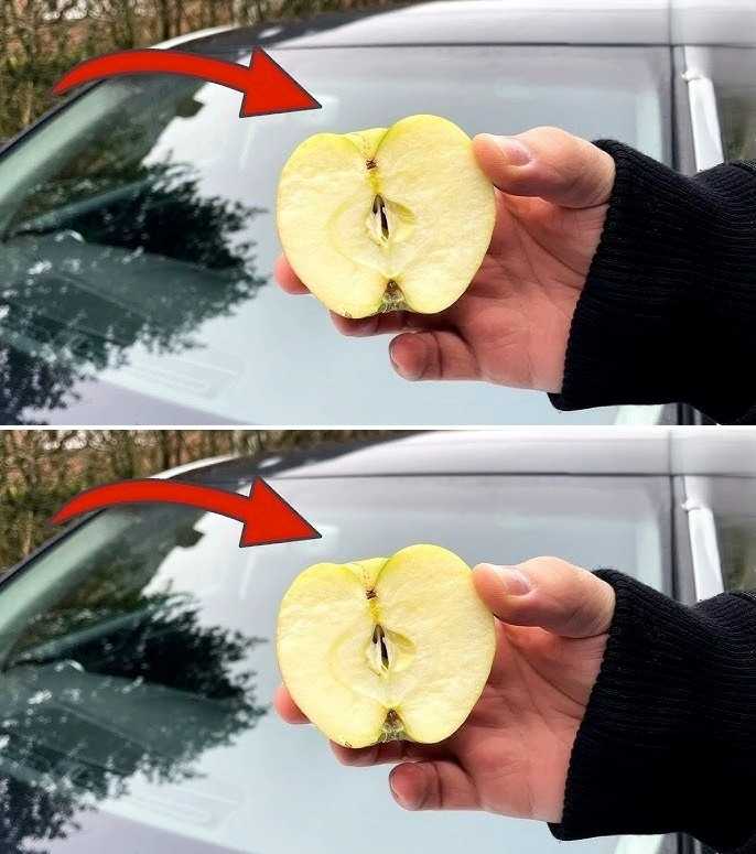 Rub Your Car Windshield With An APPLE And WATCH WHAT HAPPENS 