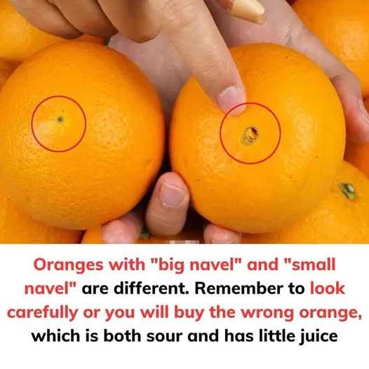 Oranges with “big navel” and “small navel” are different