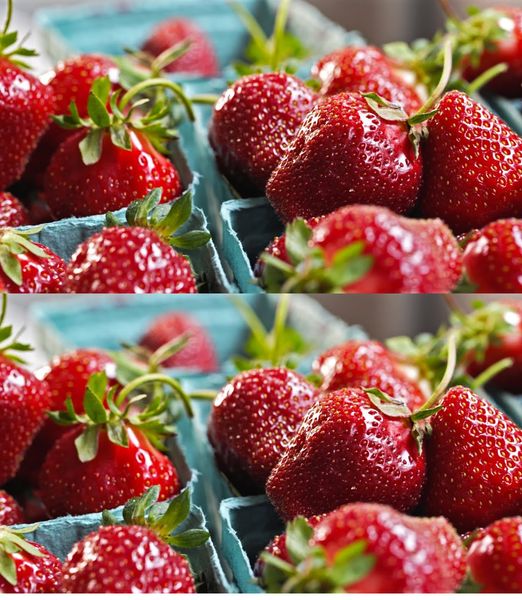 Strawberries full of worms and insects: how to disinfect them easily at no cost