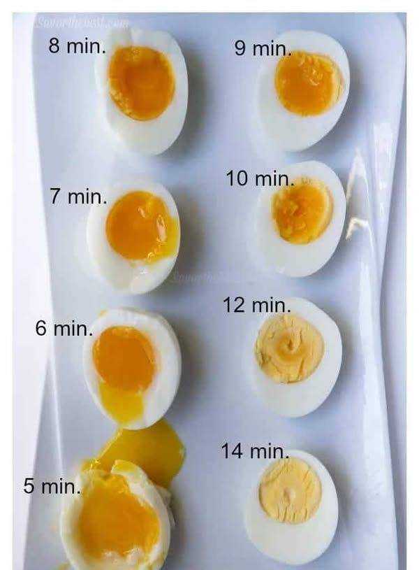 How Long to Cook Hard-Boiled Eggs (Because Timing Is Everything)