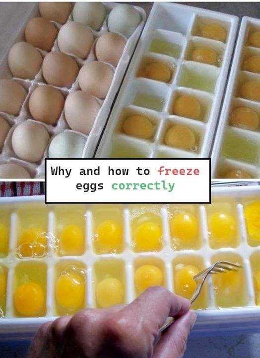 Why and how to freeze eggs correctly