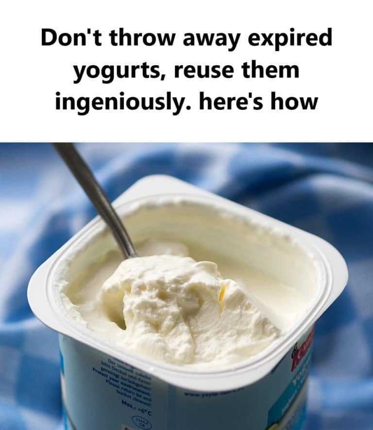 Don’t throw away expired yogurts anymore