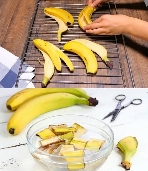 Bananenschale: Der verborgene Schatz in Ihrer Küche