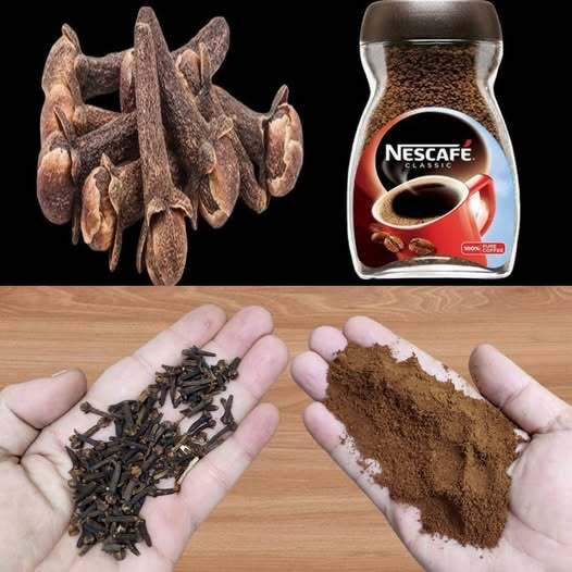 Enhance Your Coffee Experience with Clove