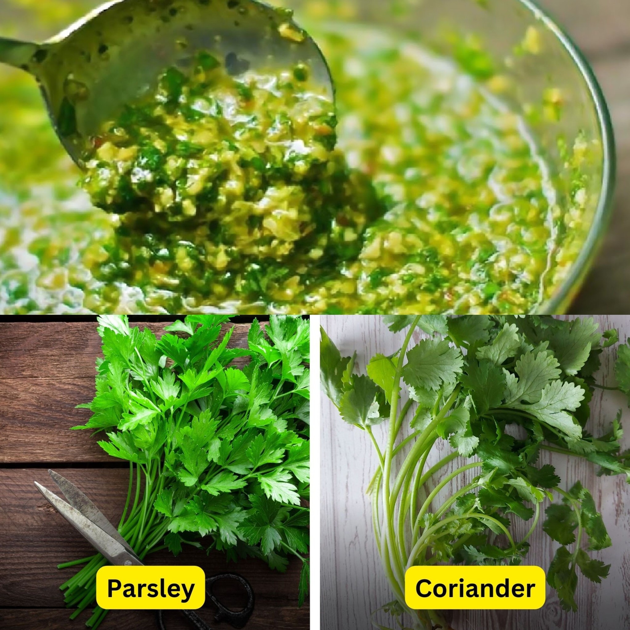 How to Purify Your Kidneys, Liver and Pancreas Naturally