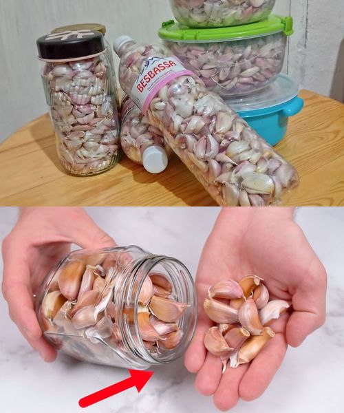 Knoblauch ist ein Jahr lang immer frisch und unversehrt: Diesen Trick kennen nur Köche in der Küche