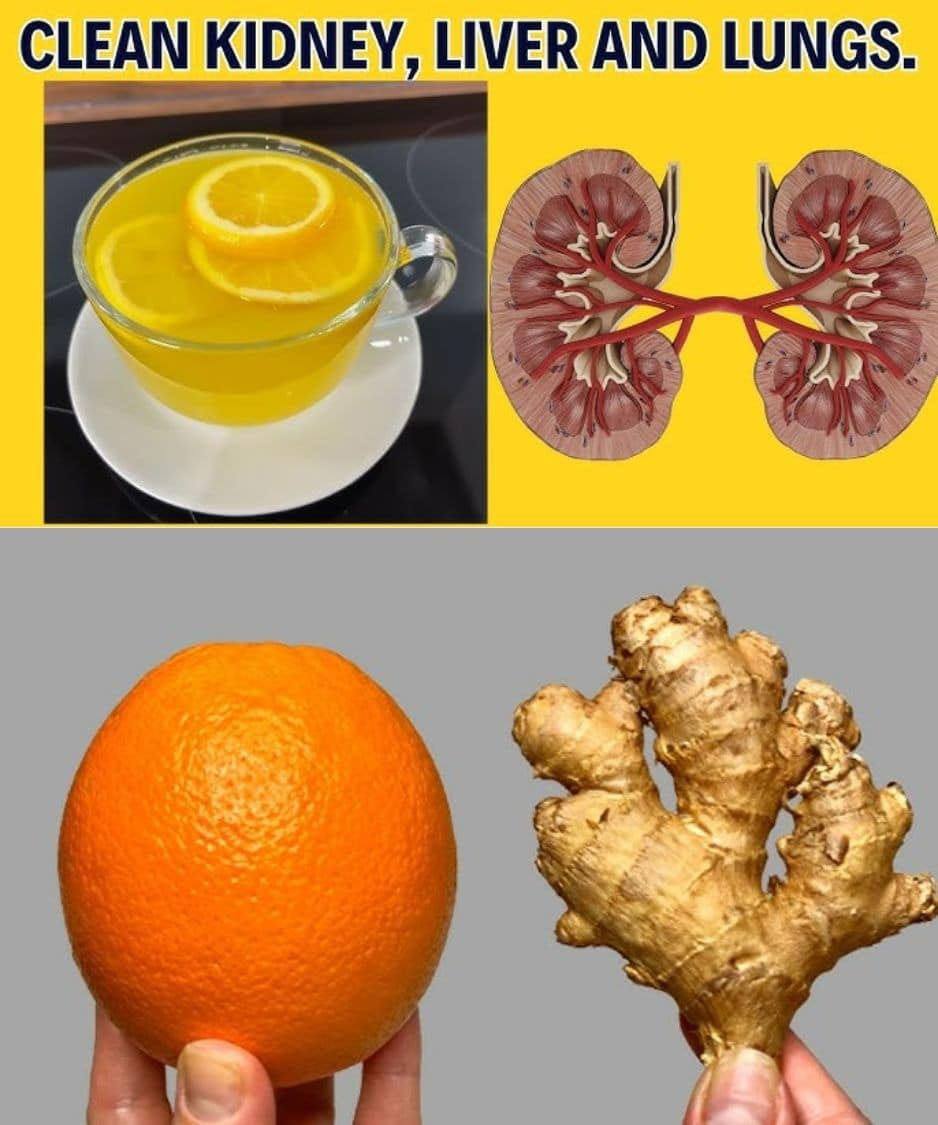 Cleanse Your Kidneys, Liver, and Lungs Naturally: A Path to a Healthier You