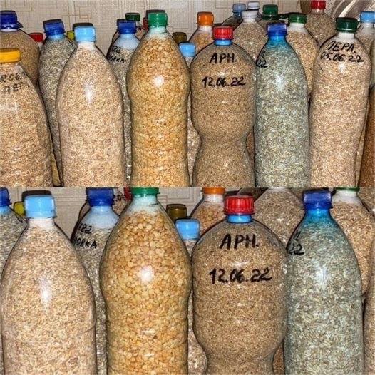 The Ultimate Rice Storage Solution: Preserve Your Rice for a Decade!