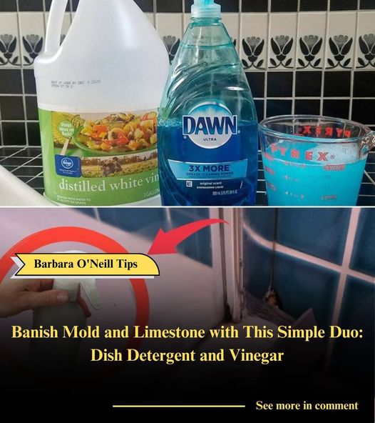 Banish Mold and Limestone with This Simple Duo: Dish Detergent and Vinegar