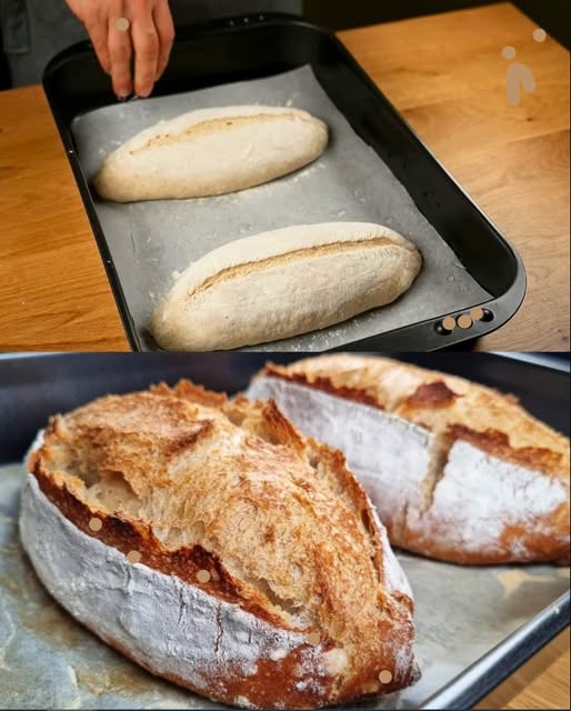 Vollkornbrot Zubereitungszeit Zubereitungszeit: 10 Minuten Ruhezeit: 1 Stunde Gesamtzeit: 1 Stunde 30 Minuten