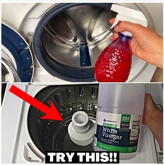 Easy and Effective Tips for a Fresh-Smelling Washing Machine