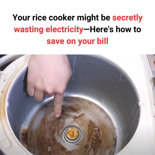 Your Rice Cooker Might Be Secretly Wasting Electricity