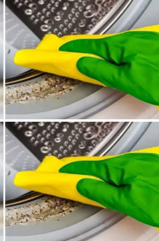 The trick to cleaning the inside of your washing machine and avoiding paying a high electricity bill