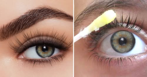 The 4 best oils to have thicker, longer and thicker eyebrows