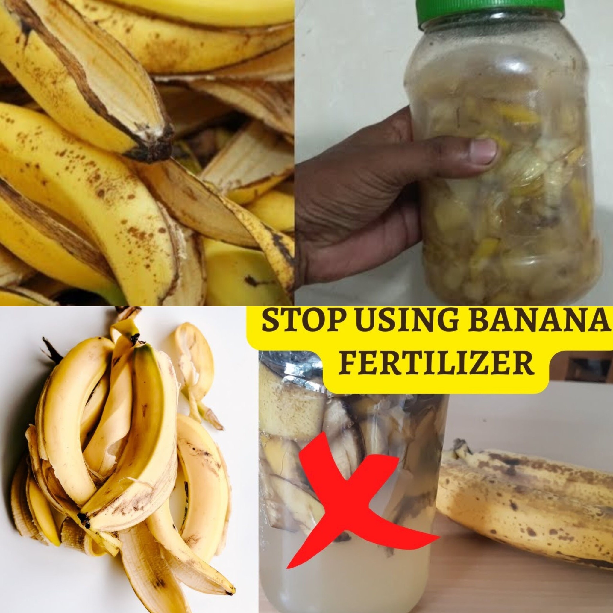 You will never throw away banana peels after watching this