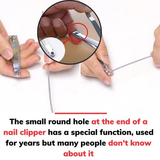 The small round hole at the end of a nail clipper