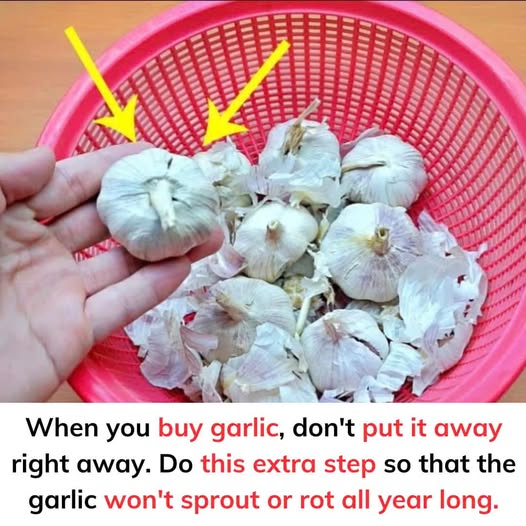 Do this extra step so that the garlic won’t sprout or rot all year long