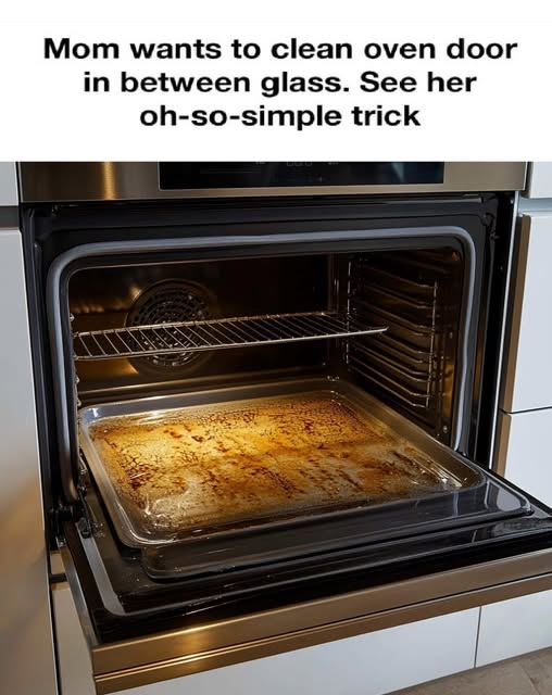 A Simple Trick to Clean Your Oven Door Glass