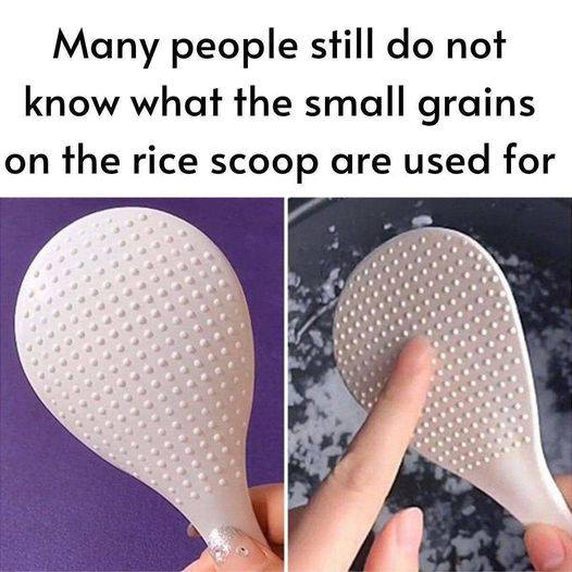 Many people still do not know what the small grains on the rice scoop are used for