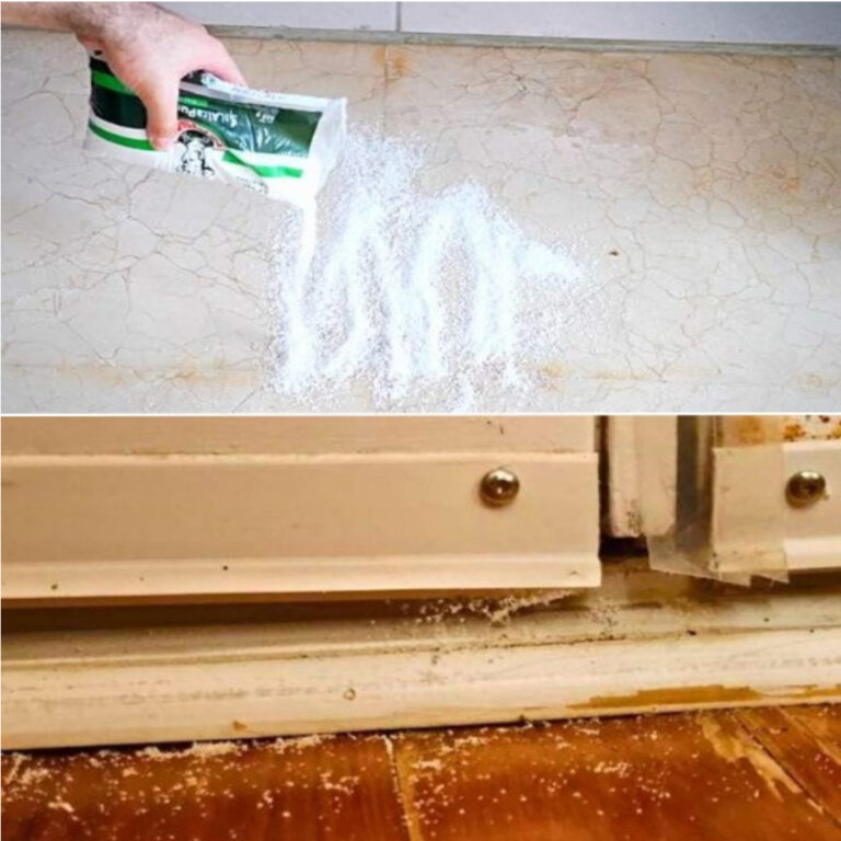 Why should you put salt on your doorstep? We discover the amazing truth!