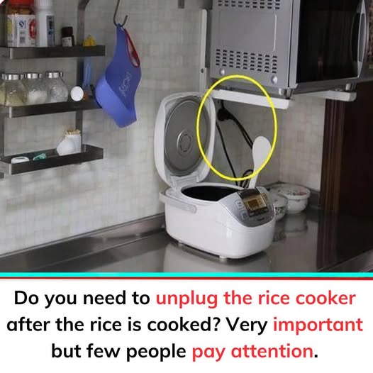 Do I need to unplug the rice cooker