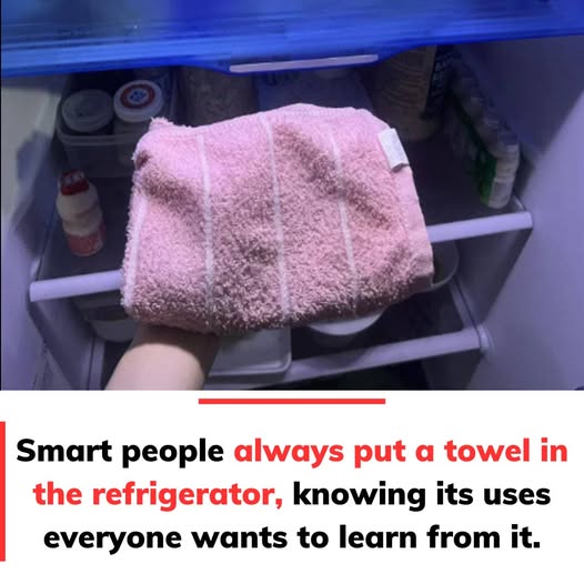 Smart people always put a towel in the refrigerator