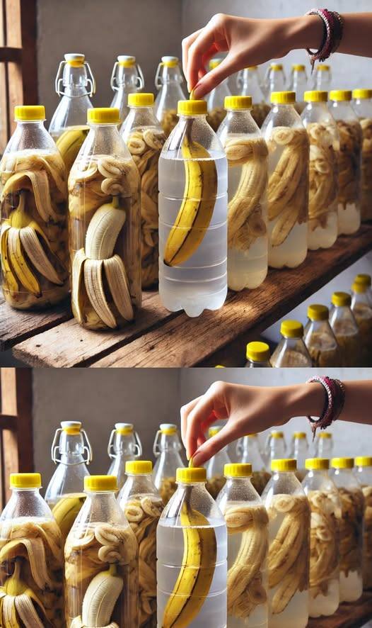 Banana Peels, Don’t Throw Them Away: Soak Them in Vinegar and See the Results