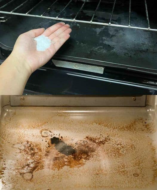 BURNT OIL IN THE OVEN, HOW TO GET RID OF IT WITHOUT LIFTING A FINGER: ZERO EFFORT