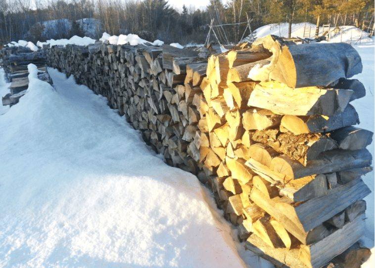 4 Common Firewood Storage Mistakes to Avoid