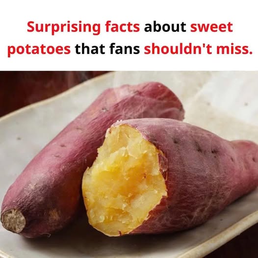 Sweet potatoes fans must read