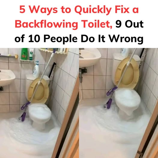 5 Ways to Quickly Fix a Backflowing Toilet