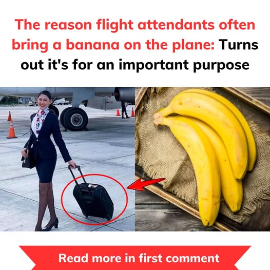 The reason flight attendants often bring a banana on the plane