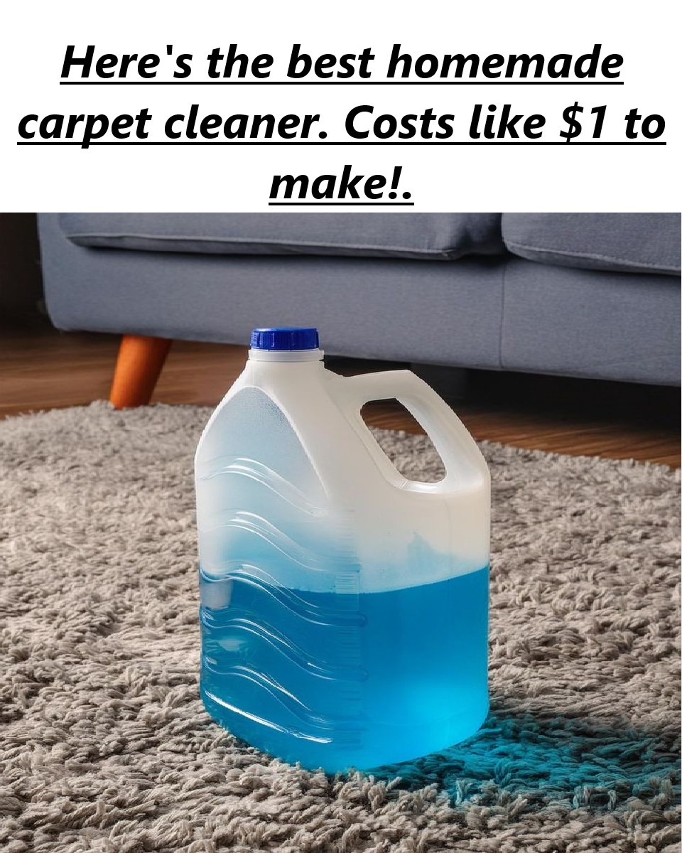 Here’s the best homemade carpet cleaner. Costs like  to make!