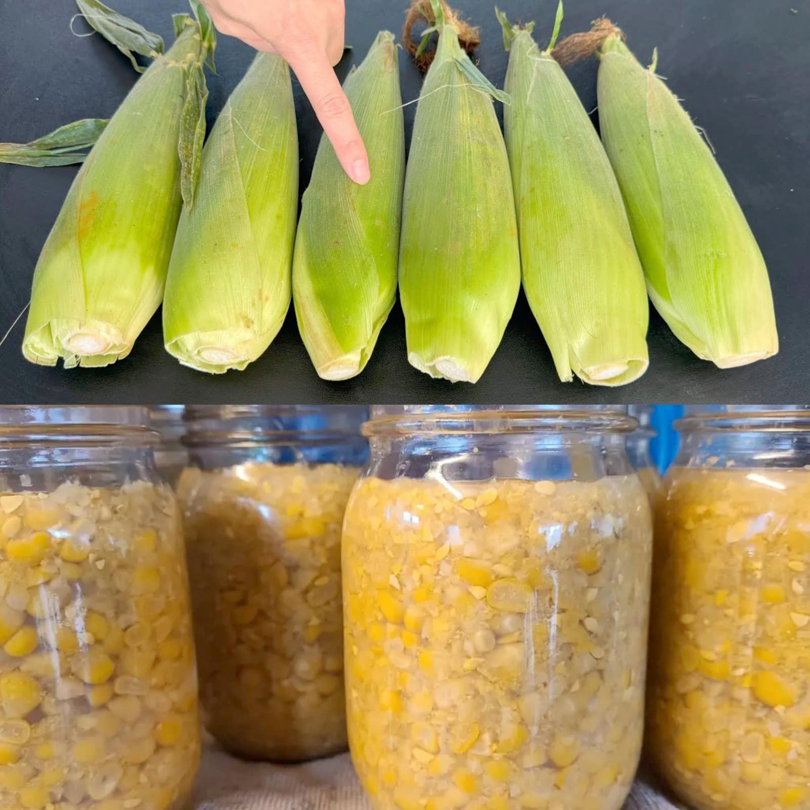 How to Store Corn for 1 Year : Keep it Fresh and Delicious