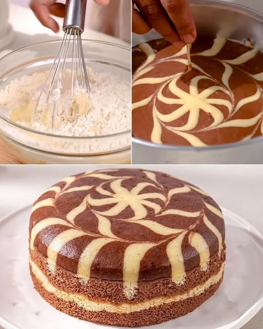 Zebra Sponge CakeZebra Biscuitkuchen