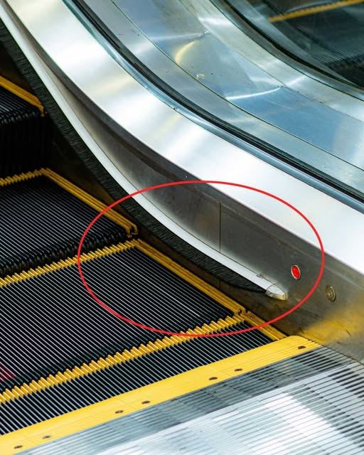 What’s this that you always see on a escalator? Seems kinda pointless