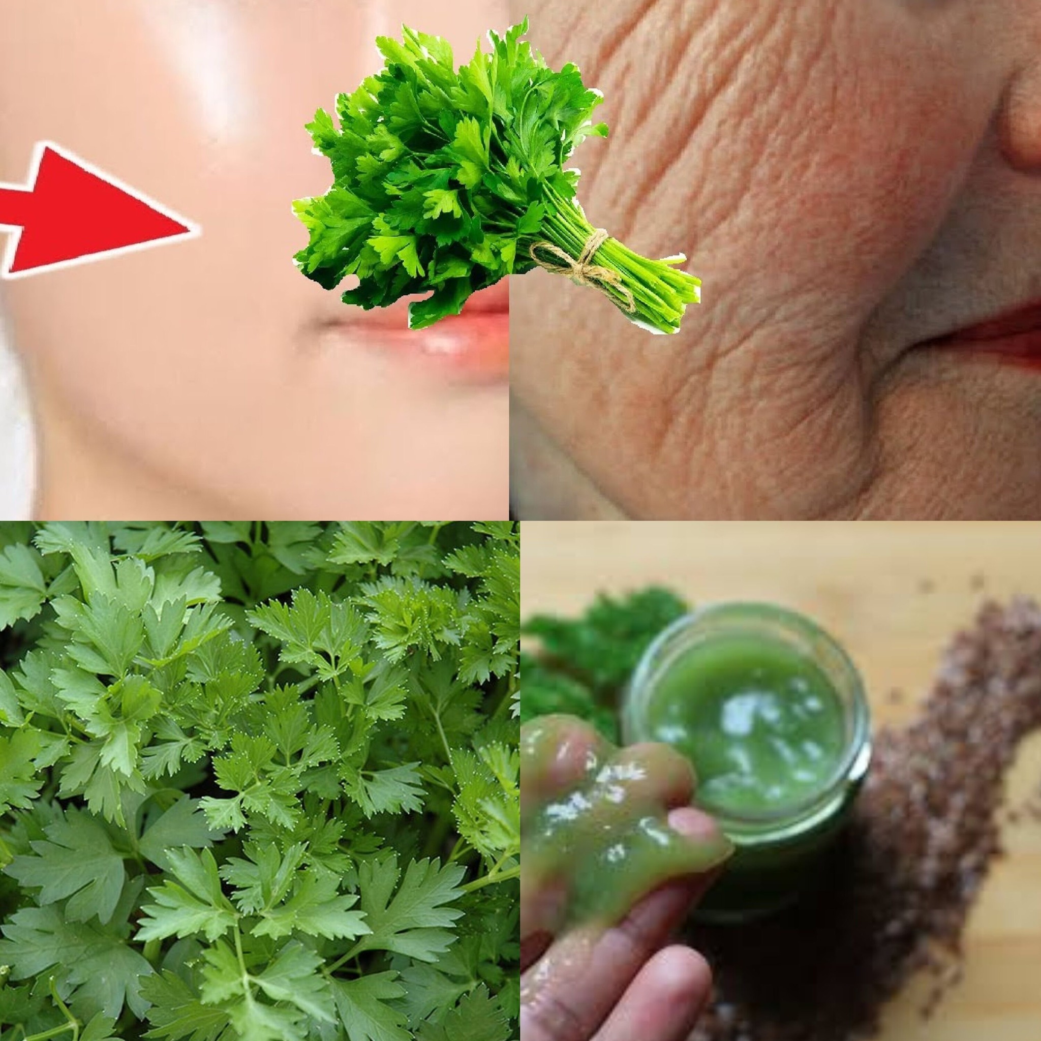 Mix parsley with water to look 15 years younger