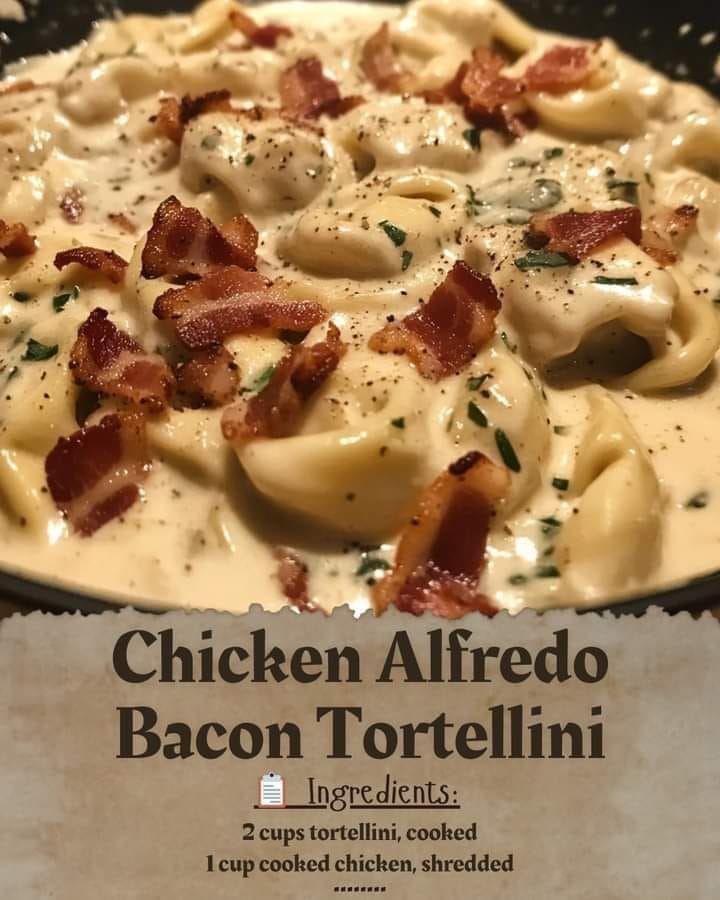 Chicken Alfredo Bacon Tortellini 