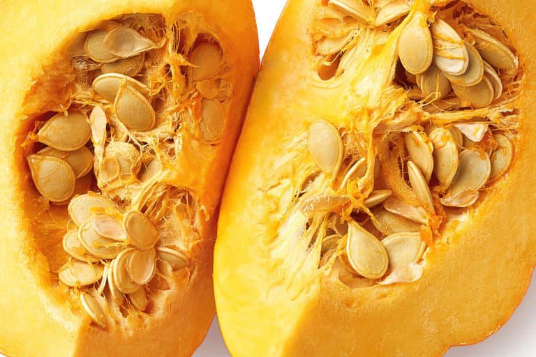 Pumpkin Seeds: Discover the Benefits and Versatile Uses